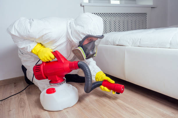 Best Residential Pest Control  in Oak Lawn, IL